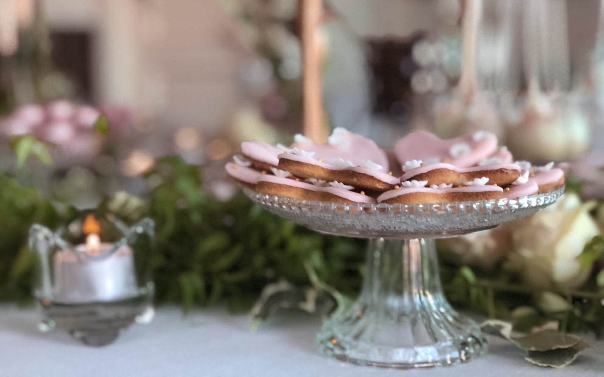 White House Events - White House Events - biscotti-3